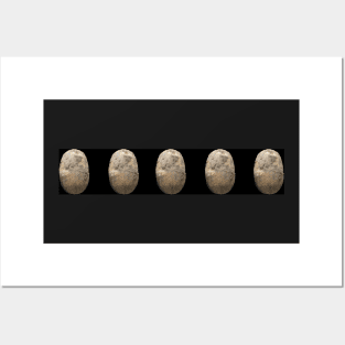 Five potato's in a row. Posters and Art